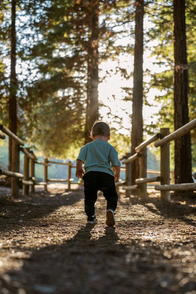 Passanesi Family in the Carbon Canyon Regional Park redwood grove, photo 9. Orange County family photography.